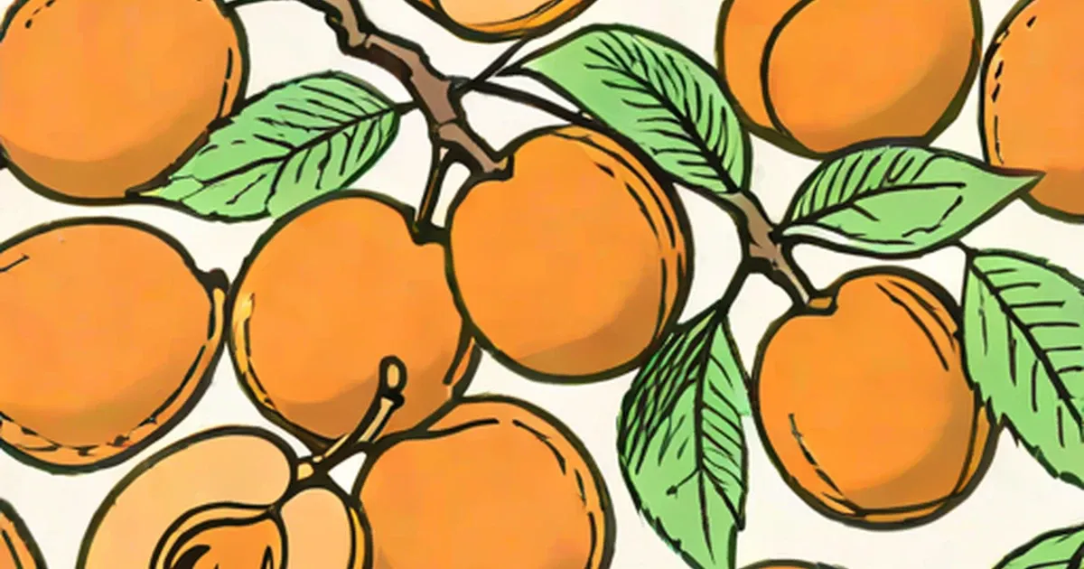 Illustrated apricots with green leaves on a cream background