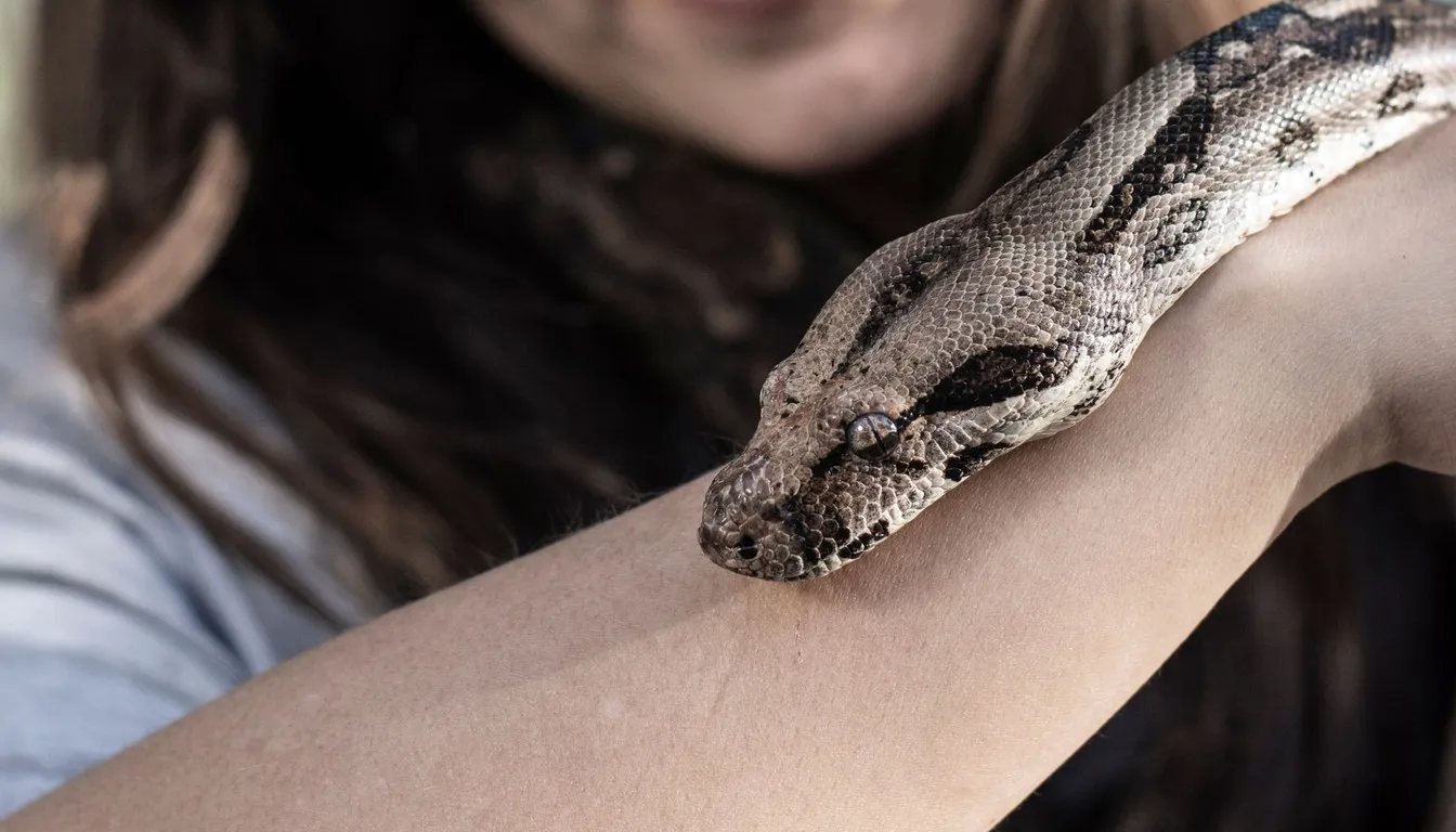 A boa draped over a person's arm
