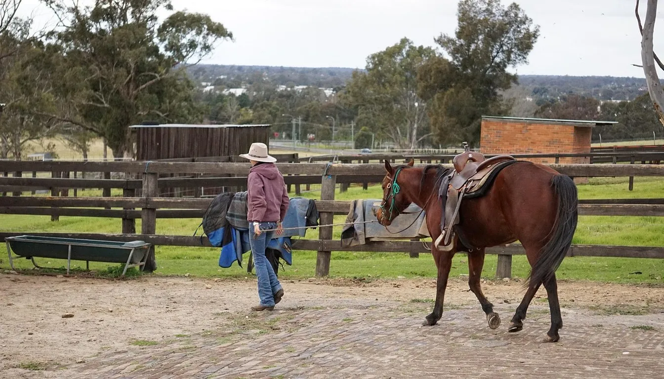 A handler leading a saddled horse across a stable yard