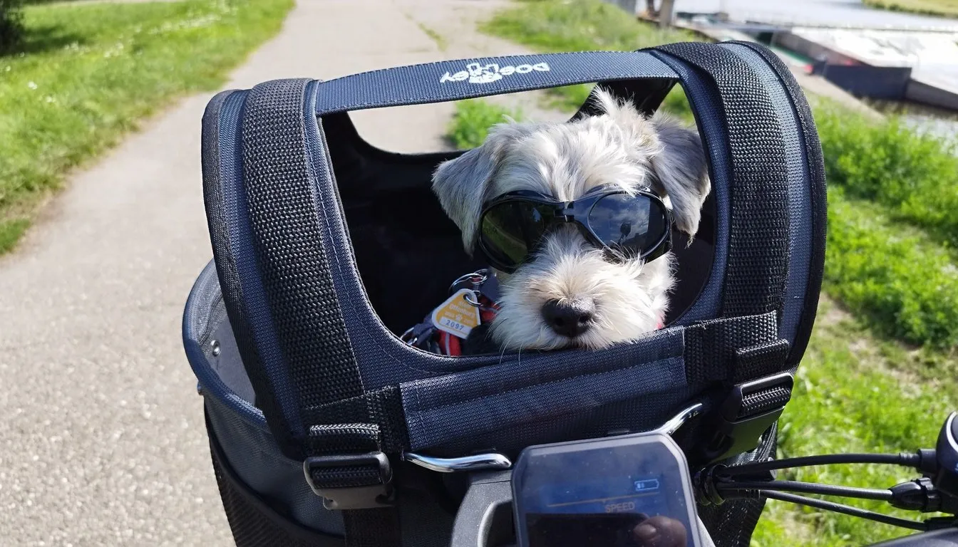 A small dog wearing goggles riding in a bicycle pet carrier