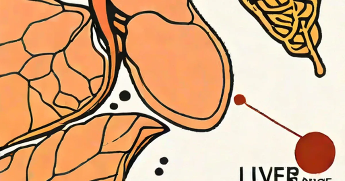Anatomical illustration of liver with adjacent organs and a highlighted red cell