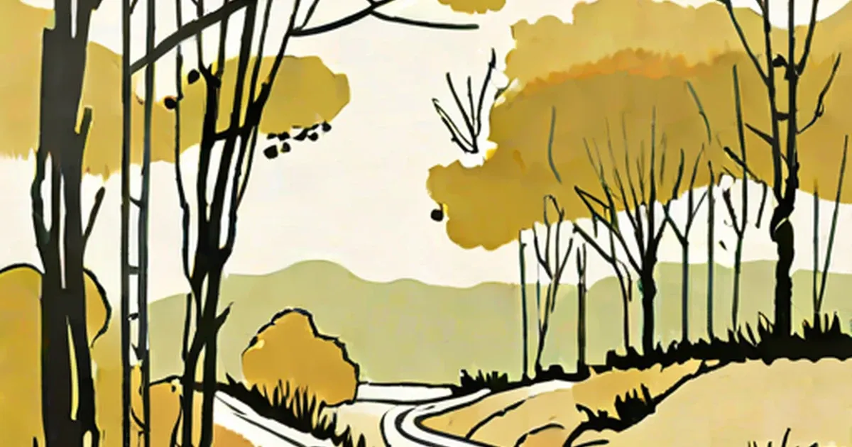 Stylized forest landscape with trees and a winding path through vegetation