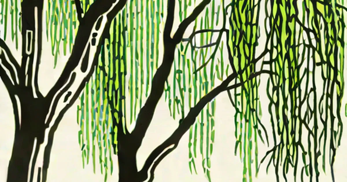 Weeping willow with long drooping bright green foliage in a stylized illustration